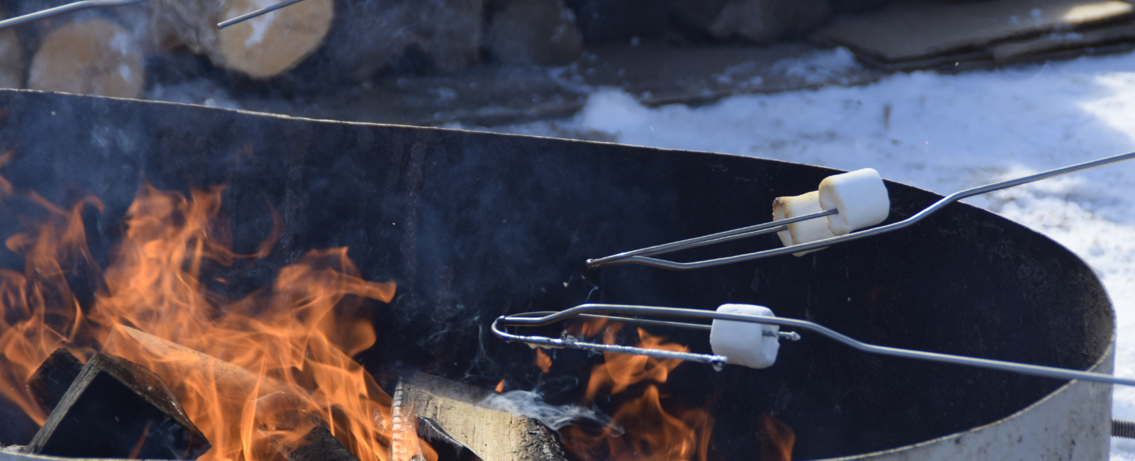 Cooking marshmallows over a fire.